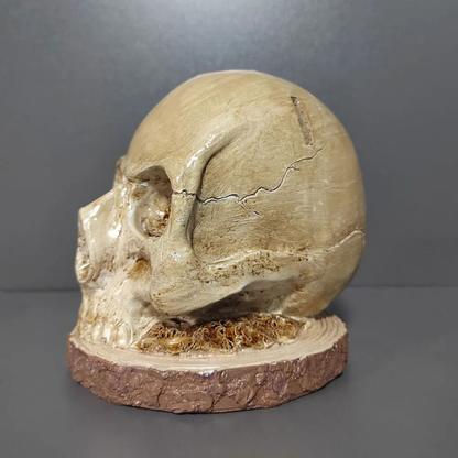 Skull Knife Holder